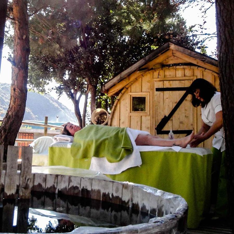 Las Lomitas De Guayacan, Cabanas Y Spa San José de Maipo Extérieur photo